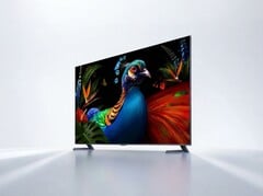 该型号有 65、75、85 和 95 英寸四种尺寸。