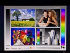 宽广的 OLED 视角