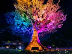 Govee 的户外树灯（如图）将于 2025 年 9 月推出。(图片来源：Govee）