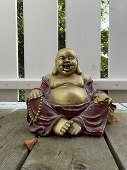 自拍相机拍摄的照片
