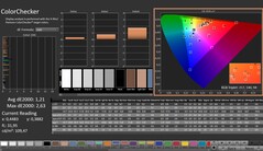 CalMAN: ColorChecker (已校准)