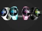 图中的 Garmin 先行者 165 可能很快就会有后继者。