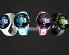 图中的 Garmin 先行者 165 可能很快就会有后继者。