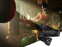 HRM 600 是一种新型胸带,也可单独使用。(图片来源:Garmin)