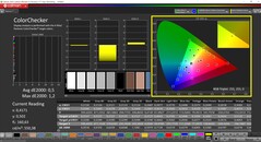 CalMAN ColorChecker（配置文件：sRGB，目标色彩空间：sRGB）