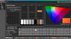 校准后的 ColorChecker