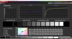 CalMAN 灰阶校准（TrueColor 配置文件：Display-P3）