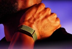 据预计,Garmin 即将推出一款与图中所示 Polar Loop 相媲美的替代产品。