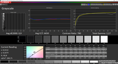 CalMAN: Grayscale (calibrated)