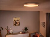 新款飞利浦 Hue Aurelle 吸顶灯（如图）将比原来的版本便宜。(图片来源：飞利浦 Hue）