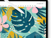 Galaxy Tab S10 Plus 预计将成为三星下一代旗舰平板电脑的入门产品。(图片来源：三星）