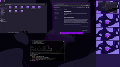 Rhino Linux 2026.1 在桌面和移动设备上支持 Lomiri