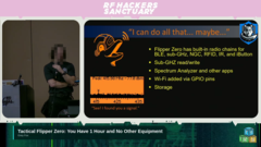灰狐在 DEFCON 33 上发表演讲（图片来源：RF Hackers Sanctuary）
