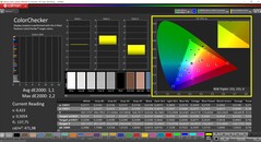 CalMAN ColorChecker（配置文件：sRGB，目标色彩空间：sRGB）