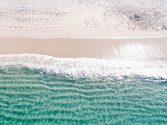 幸运的是，水中的二氧化碳浓度远高于空气中的浓度。(图片：pixabay/Pexels）