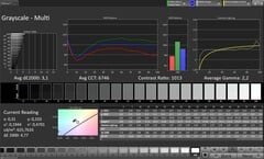 灰度(配置文件:Original Pro,目标色彩空间:sRGB)