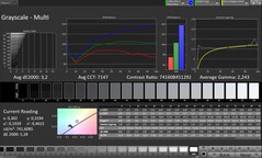 灰度（色彩模式：自然，目标色彩空间：sRGB）