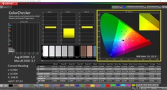 CalMAN ColorChecker（配置文件：P3，目标色彩空间 P3）