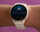 Garmin 的 vivoactive 6 智能手表（如图）正在接受健康状态功能的测试。(图片来源：Garmin）