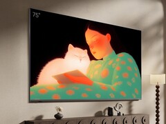 海信 Vidda 壁纸电视（如图）现已在中国上市。(图片来源：海信）
