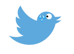 2022年10月以来，Twitter失去了3/4的员工（来源：Twitter的标志，经编辑）。