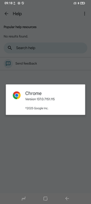预装 Chrome 137。(图片来源：Sergey Tarasov - Notebookcheck）