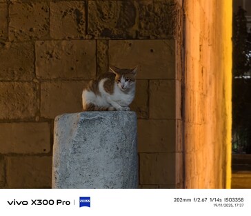 Vivo X300 Pro 200 毫米，不带远摄变焦功能。