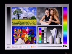 宽广的 OLED 视角