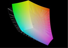 XMG Pro 17 E22 VS. AdobeRGB