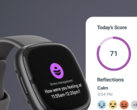 7 月 8 日之后，Fitbit 用户将不得不使用 Fitbit 应用程序。(图片来源：Fitbit）