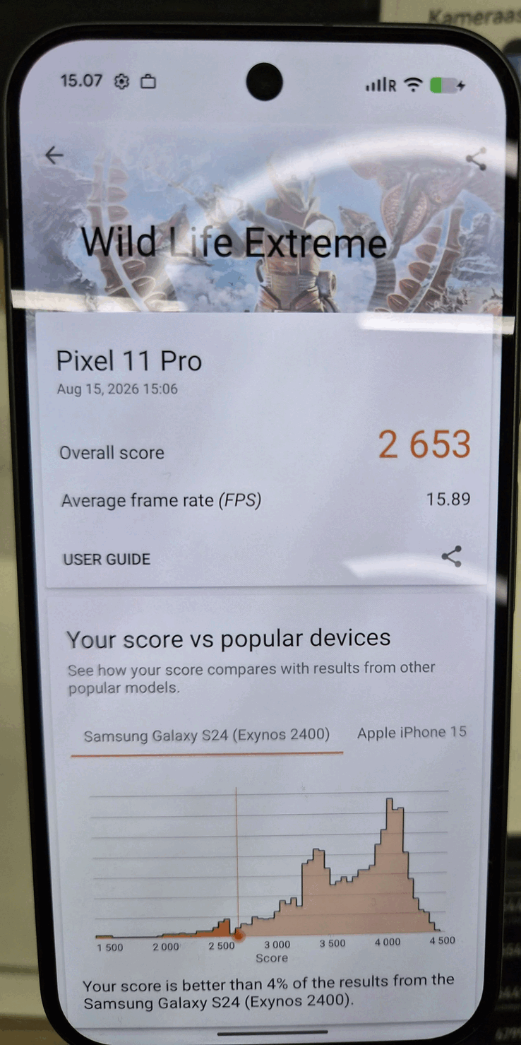 Pixel 11 Pro 的“野生动物极限”拍摄效果