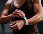 Amazfit Helio Strap 是市场上价格较低的健身腕带之一。