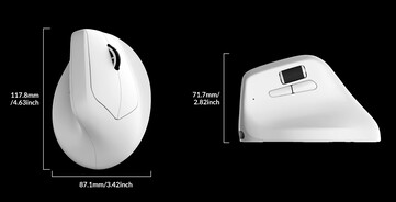 Keychron M5 8K 垂直无线游戏鼠标尺寸。(图片来源：Keychron）