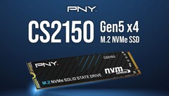 CS2150.(图片来源：PNY）