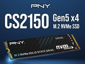 CS2150.(图片来源：PNY）