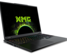 移动 RTX 4080 和移动 RTX 5080 之间的代际飞跃是我们所期望的，没有任何 DLSS 升频功能（图片来源：Schenker）。