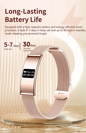 (图片来源：Rogbid）