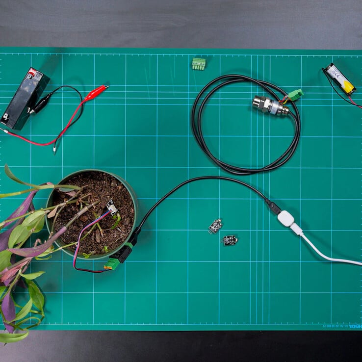 Shelly 创作的《药丸》(图片来源:Shelly)