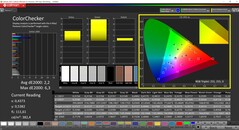 CalMAN ColorChecker（配置文件：默认，目标色彩空间 P3）