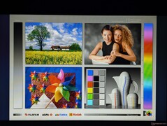 宽广的 IPS 视角