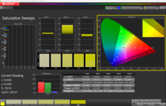 CalMAN 饱和扫描（校准后）