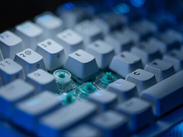 安装在交换机上的 SAPP 环。