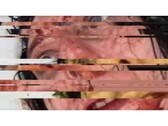 恐怖游戏《VILE：Exhumed》的截图，描绘了一段暂停并出现故障的女性 VHS 录像。 图片来源：DreadXP/Final Girl Games