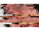 恐怖游戏《VILE：Exhumed》的截图，描绘了一段暂停并出现故障的女性 VHS 录像。 图片来源：DreadXP/Final Girl Games