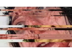 恐怖游戏《VILE：Exhumed》的截图，描绘了一段暂停并出现故障的女性 VHS 录像。 图片来源：DreadXP/Final Girl Games