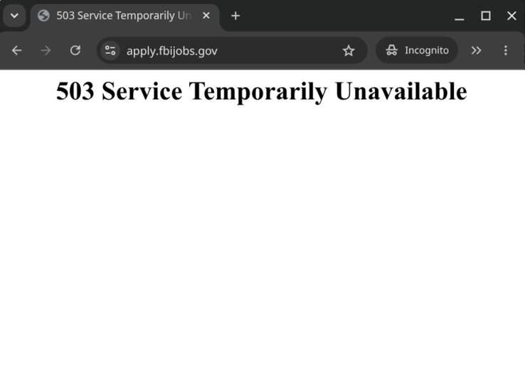 FBI 第 503 页错误