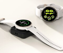 Phelinta 最新推出的 Garmin 充电器集成了电池。(图片来源：Phelinta）