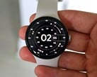 谷歌 Pixel Watch 5 的原型显然是在加勒比海潜水时发现的。