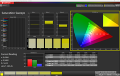 CalMAN 饱和度（配置文件：sRGB）