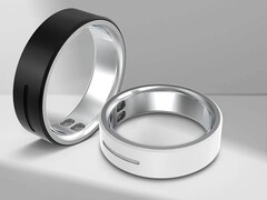 Vibe 有两种不同的型号（图片来源：Rollme）